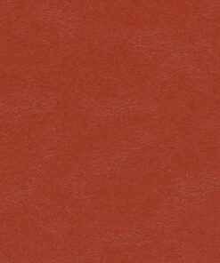 Forbo Walton Cirrus Uni Sheet Marmoleum- Berlin Red