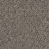Nature's Carpet Rendezvous- Dark Grey
