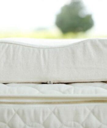 Savvy Rest Organic Latex Contour Pillow