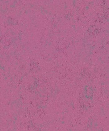 Forbo Concrete Marmoleum- Purple Glow